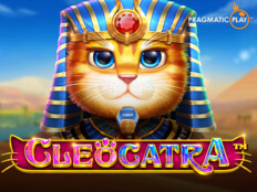 Bedava casino slot oyun oyna66